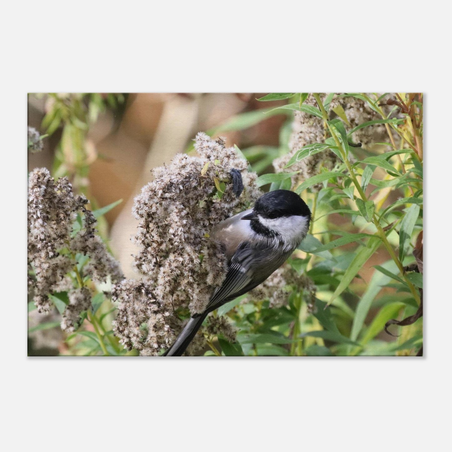21b46bd0-b96f-4d15-848f-591a3e2ddca5