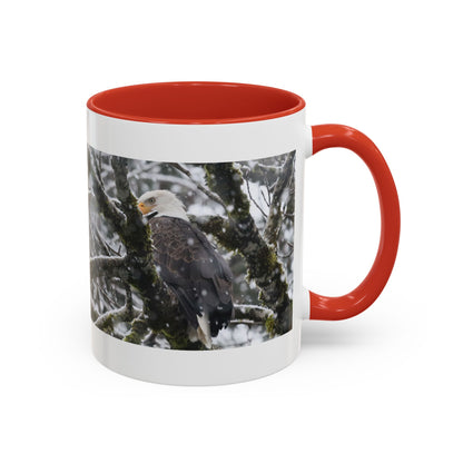 Bald Eagle Winter Photo Coffee Mug — 11/15oz Accent Mug