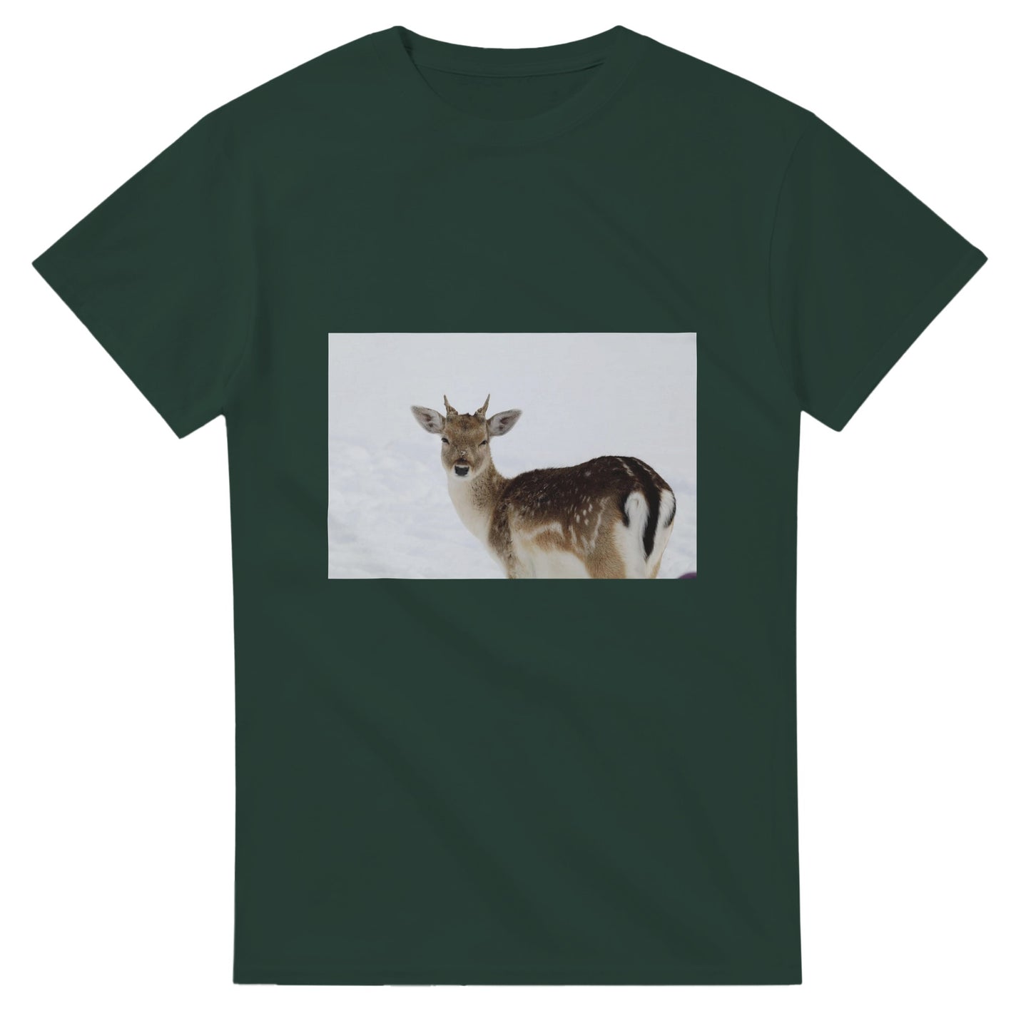 220e7779-9724-4787-bb24-a9c4564548a8