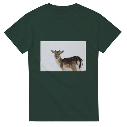 220e7779-9724-4787-bb24-a9c4564548a8