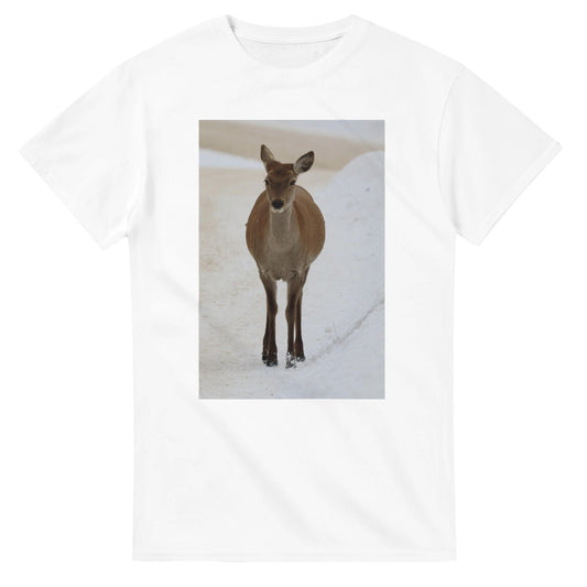 2218a70f-004c-4adc-b60a-2ff23e598554