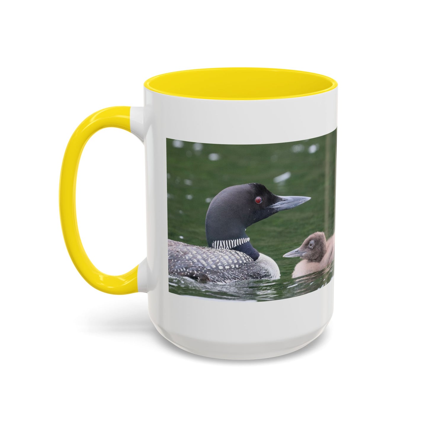 Loon Family Accent Coffee Mug – Wildlife Photo Tea Mug (11/15 oz)