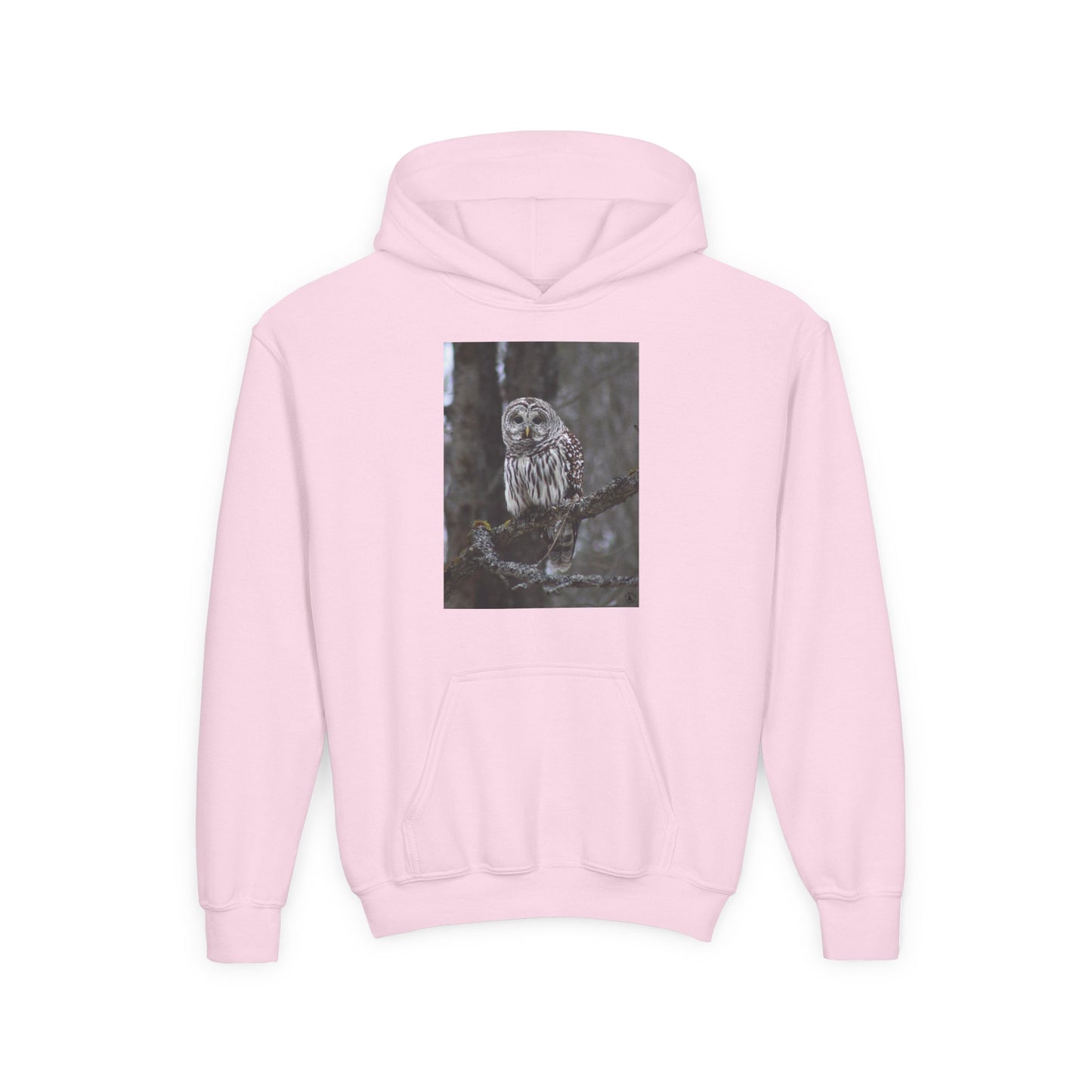 Owl Portrait Youth Hoodie — Realistic Forest Owl Graphic