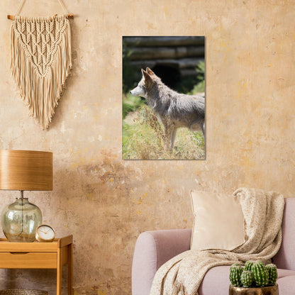 2254cf09-f32b-4316-9f4e-19d86527f660