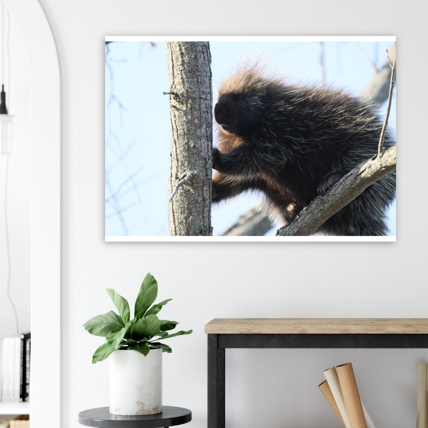 2254dbb8-ea0b-4332-a9ff-0b2bcb9337ff