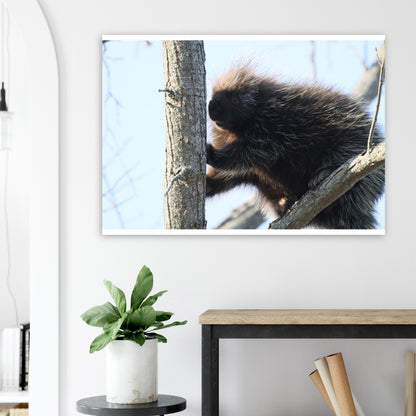 2254dbb8-ea0b-4332-a9ff-0b2bcb9337ff