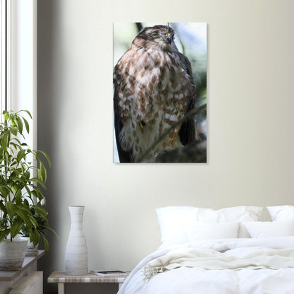22664e1a-14f2-46a1-a02a-19faf2ecc2e2