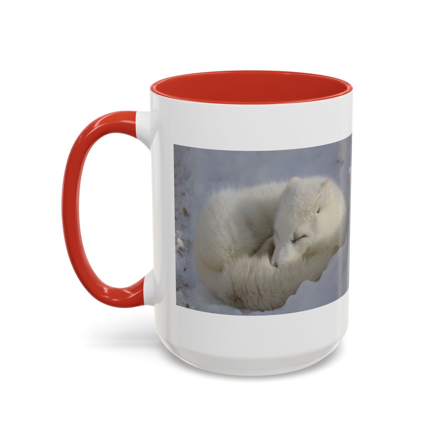 Arctic Fox Photo Accent Coffee Mug – Winter Wildlife Ceramic Mug (11/15oz)