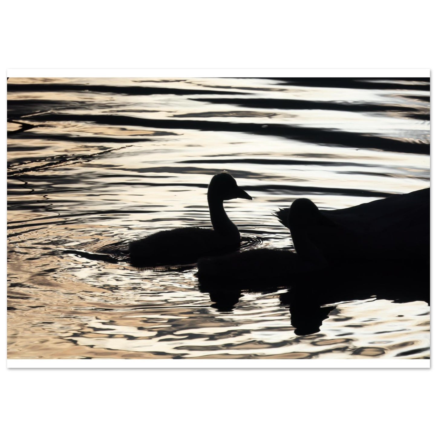 227bf07c-50b8-4401-926a-c6bb3ccf4c38