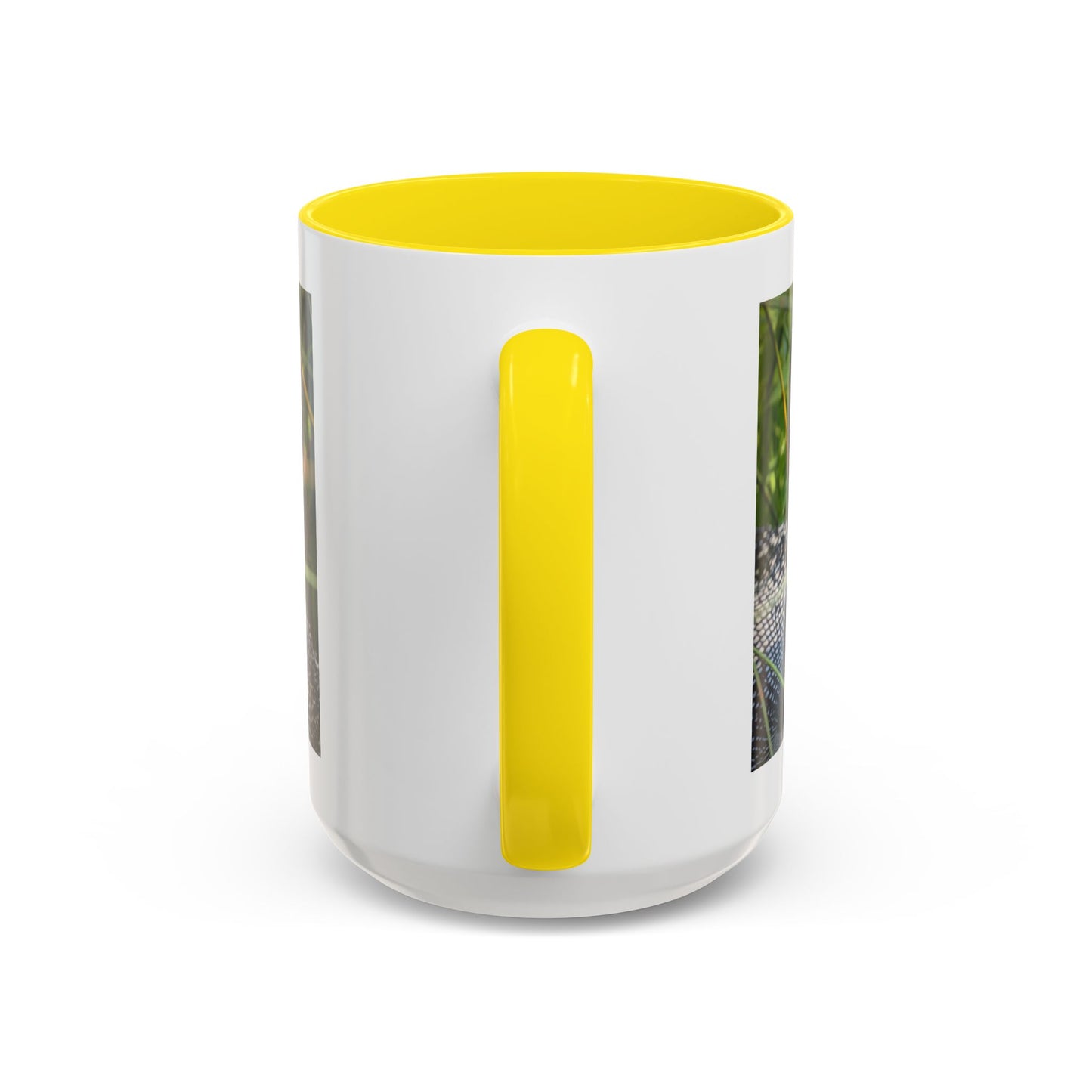 Common Loon Photo Accent Coffee Mug (11/15oz)