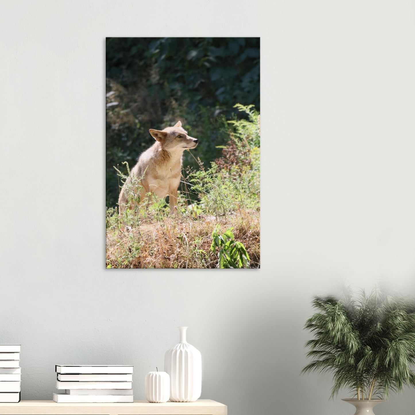 229e8442-f8fb-4e8d-b5e2-2916f2ba6328