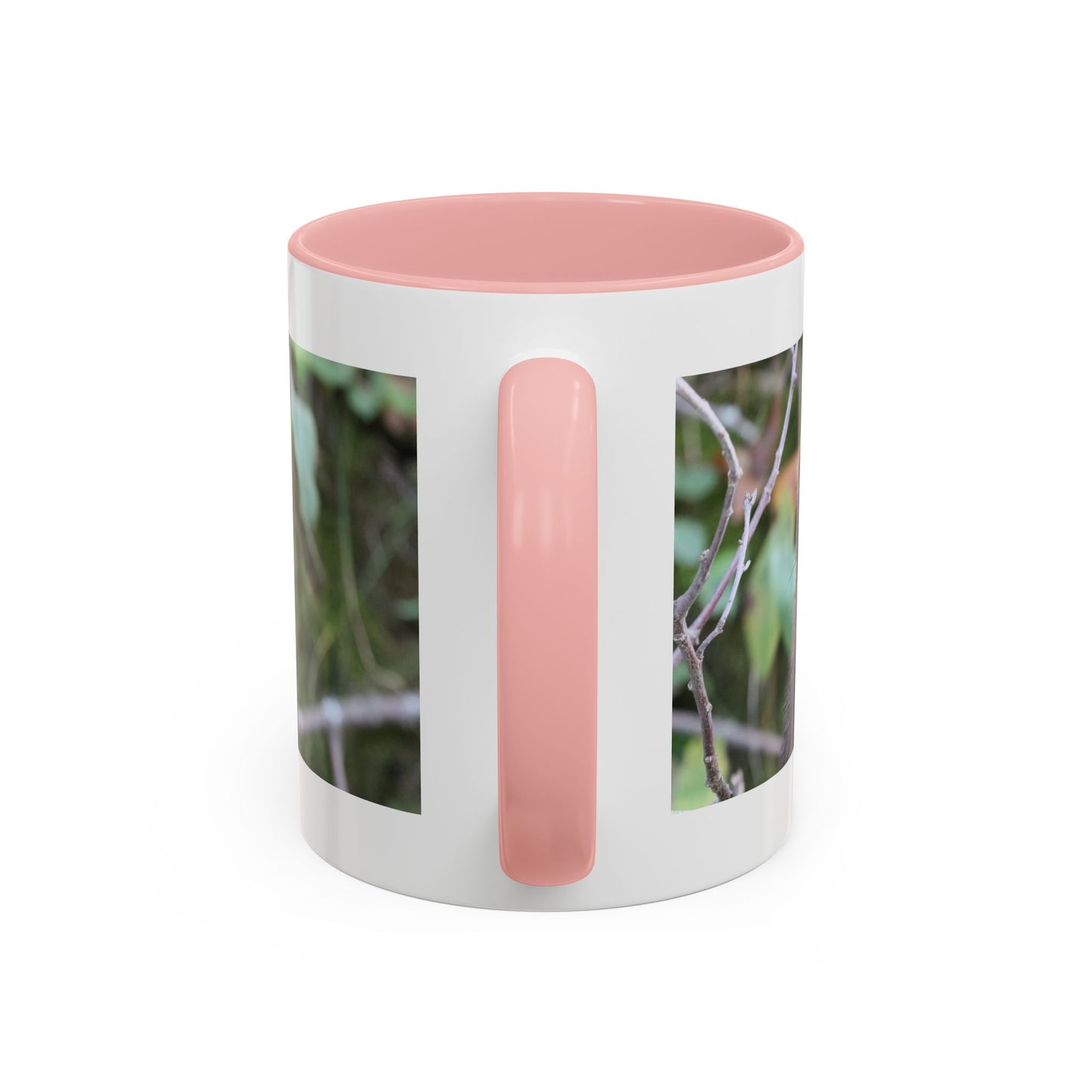 Cute Mink Photo Accent Mug – Wildlife Photography Coffee Cup (11/15 oz)