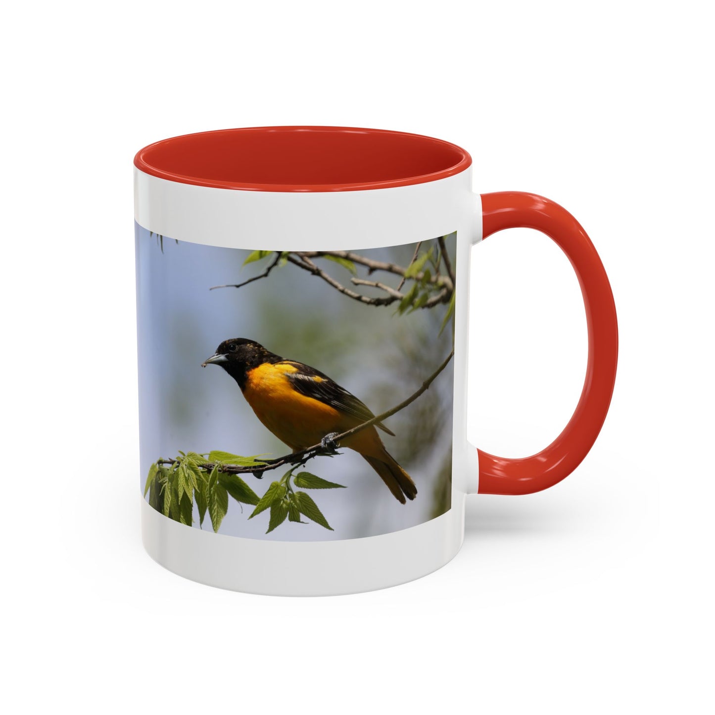 Baltimore Oriole Coffee Mug — Birdwatching Accent Mug (11/15oz)