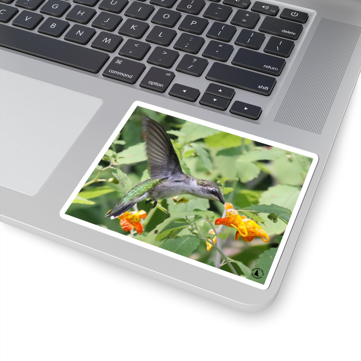 Hummingbird & Orange Flower Kiss-Cut Sticker — Nature Wildlife Laptop Decal