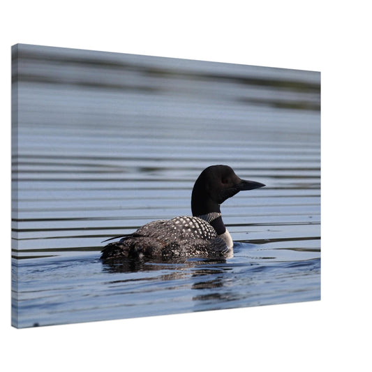 2411e1e6-db23-4fa3-a503-dafa2c11c674