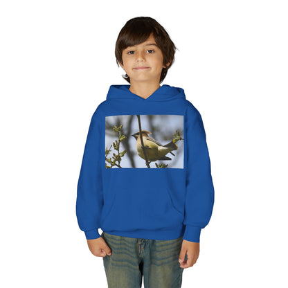 Cedar Waxwing Bird Hoodie | Youth Hooded Sweatshirt