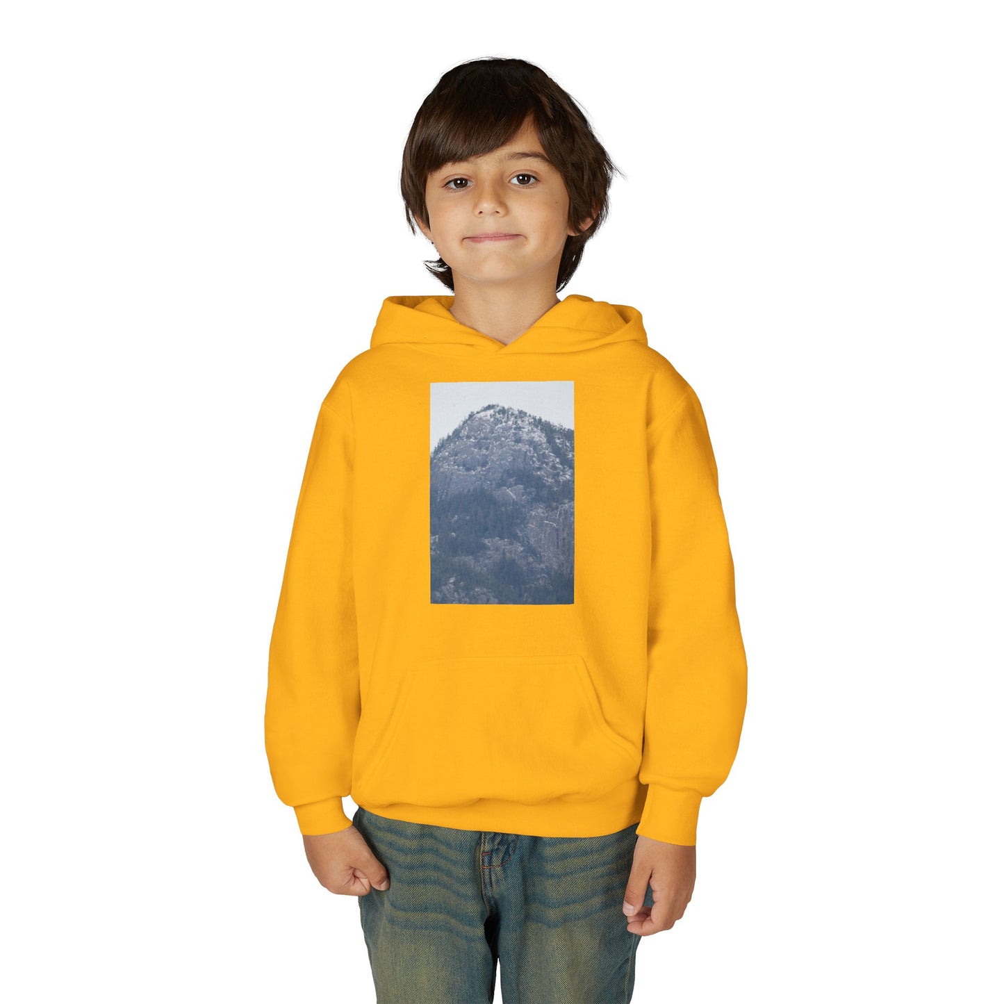 Mountain Peak Youth Hoodie — Winter Snow Scenic Graphic Sweatshirt