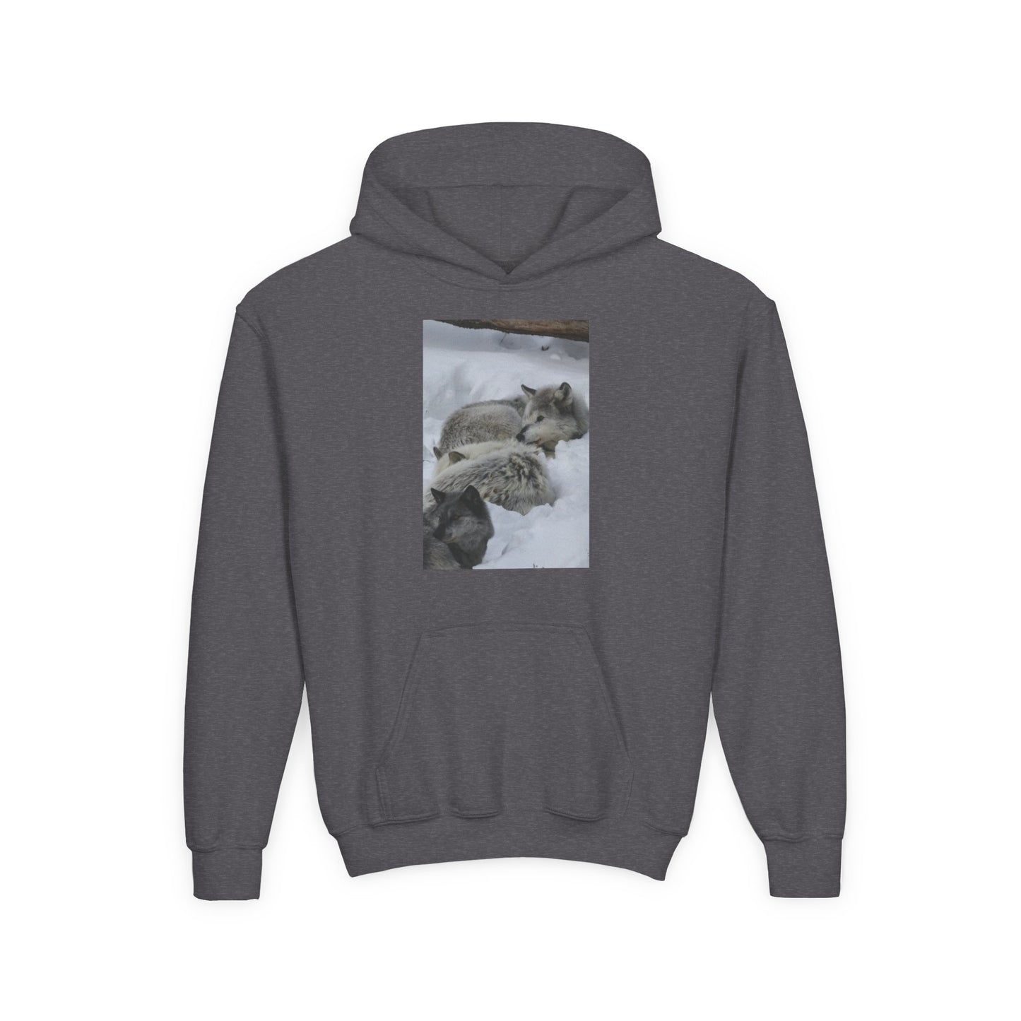 Sleeping Foxes Youth Hoodie | Wildlife Photography, Snow Scene