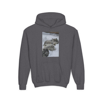 Sleeping Foxes Youth Hoodie | Wildlife Photography, Snow Scene