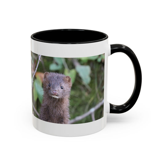 Cute Mink Photo Accent Mug – Wildlife Photography Coffee Cup (11/15 oz)