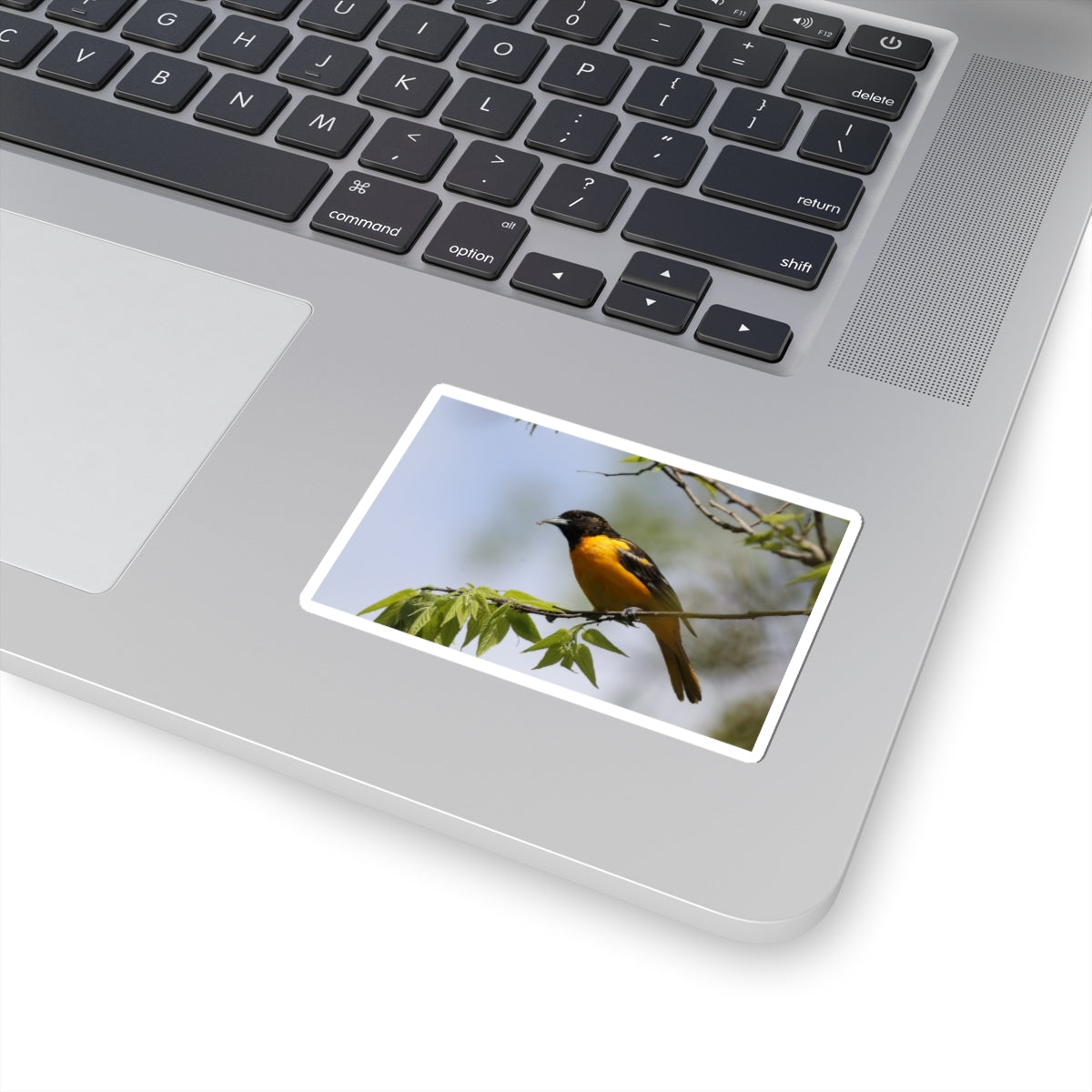 Oriole Bird Sticker — Vibrant Yellow Songbird Laptop Decal
