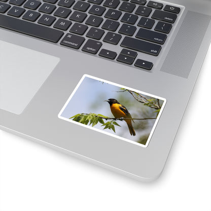 Oriole Bird Sticker — Vibrant Yellow Songbird Laptop Decal
