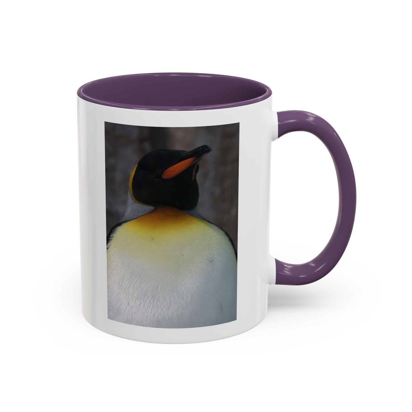 King Penguin Photo Coffee Mug — Cute Wildlife Accent Mug (11/15oz)