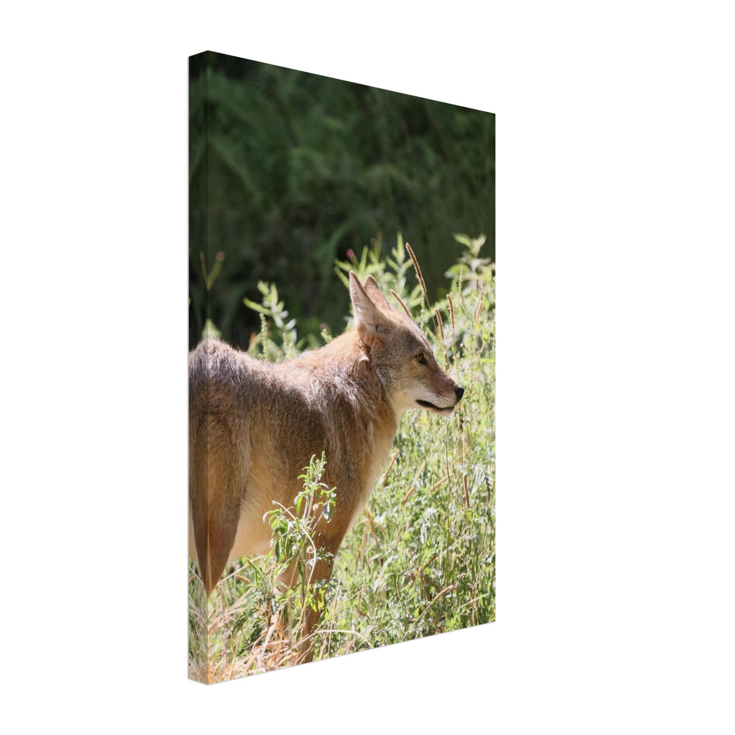 24d1f9e7-e9f8-4c03-945a-48c50b47c1a0