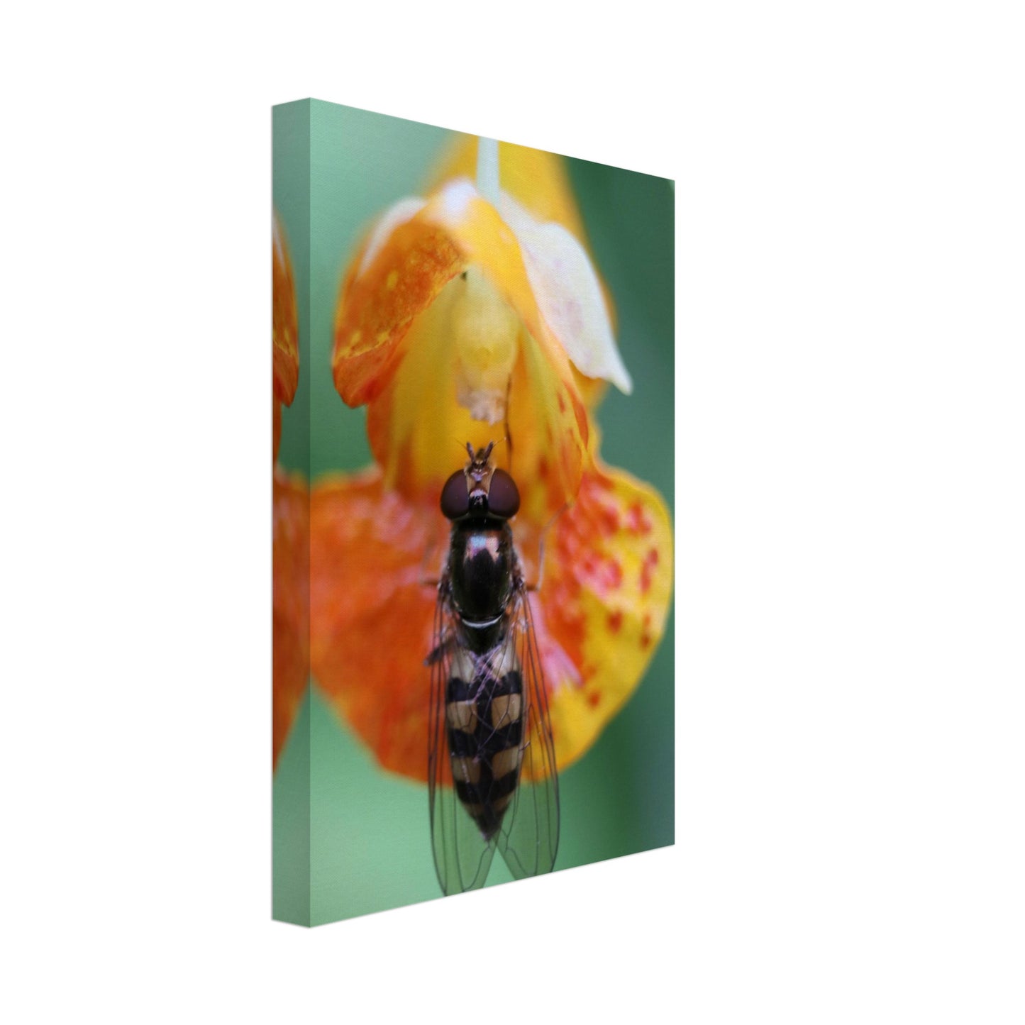24df94cf-dedc-4082-8c32-137561be4812
