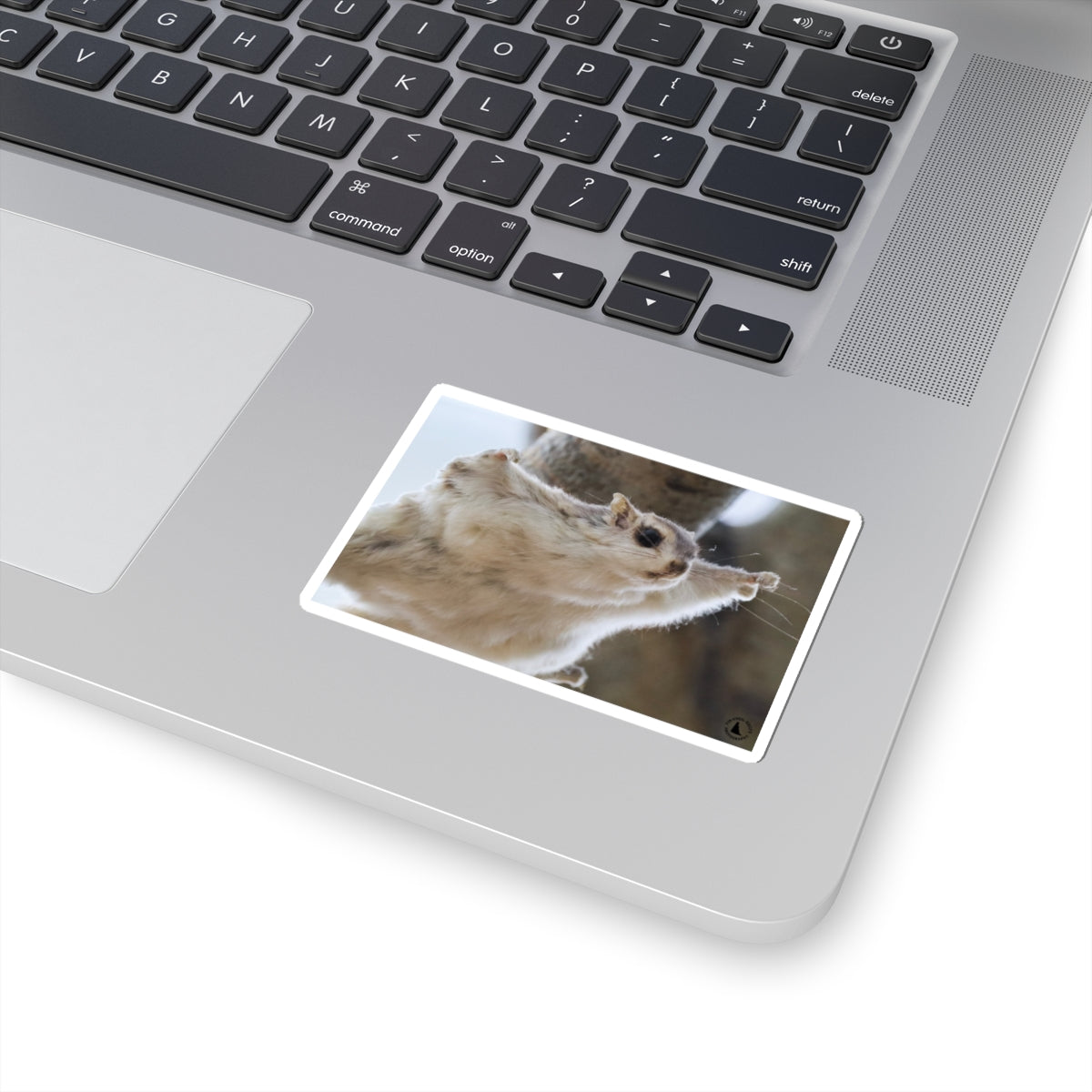 Flying Sugar Glider Sticker — Cute Gliding Pet Laptop Decal