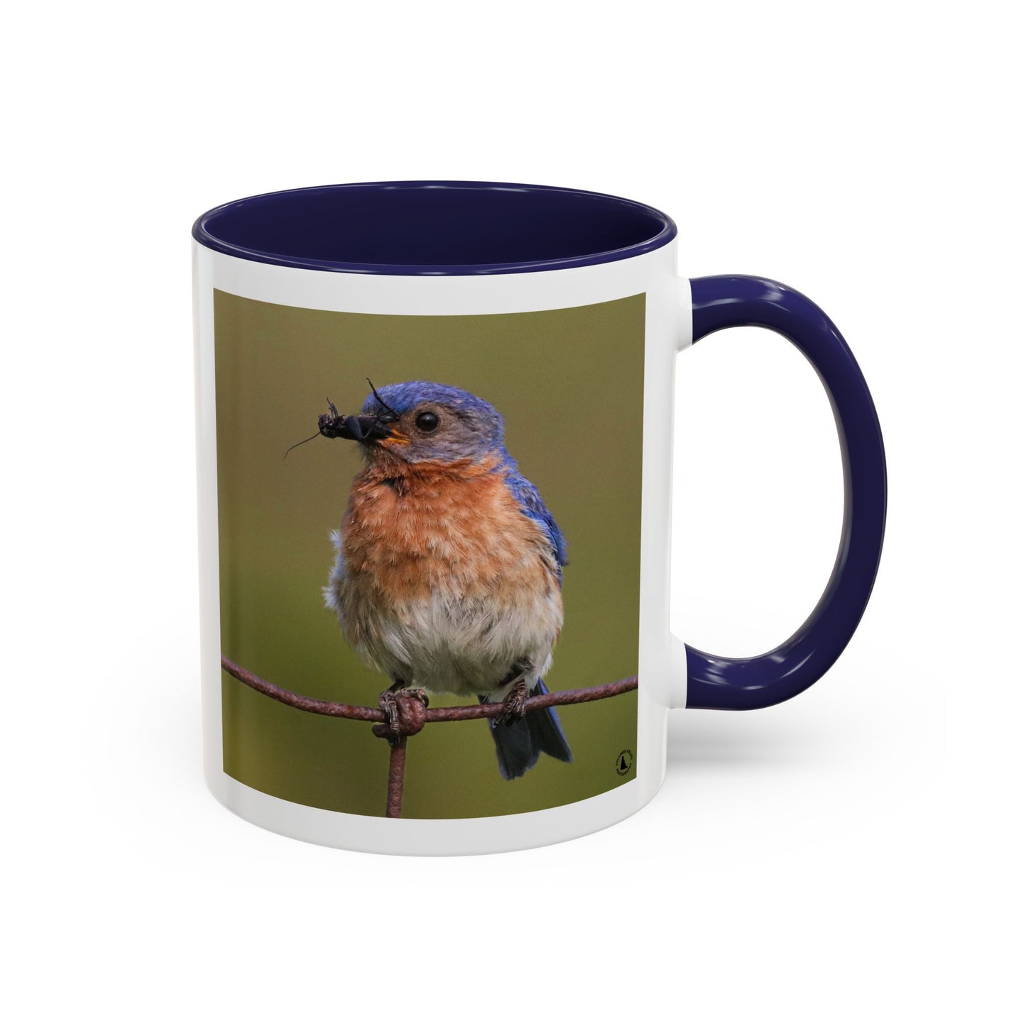 Bluebird Photo Coffee Mug — Eastern Bluebird with Insect Accent Mug (11/15 oz)