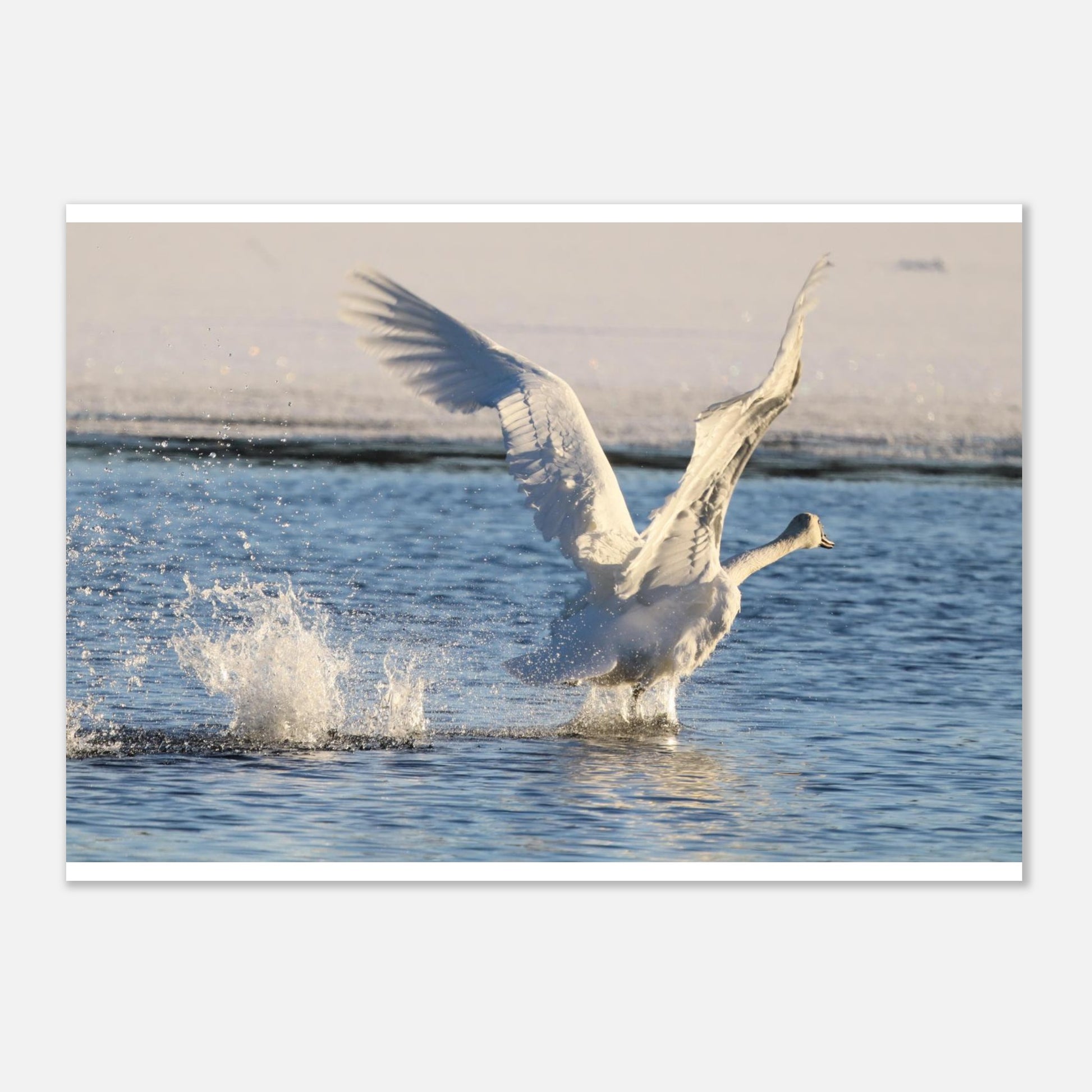 254d818e-3b99-4f93-97a4-74790997f3d6