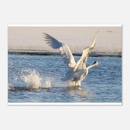 254d818e-3b99-4f93-97a4-74790997f3d6