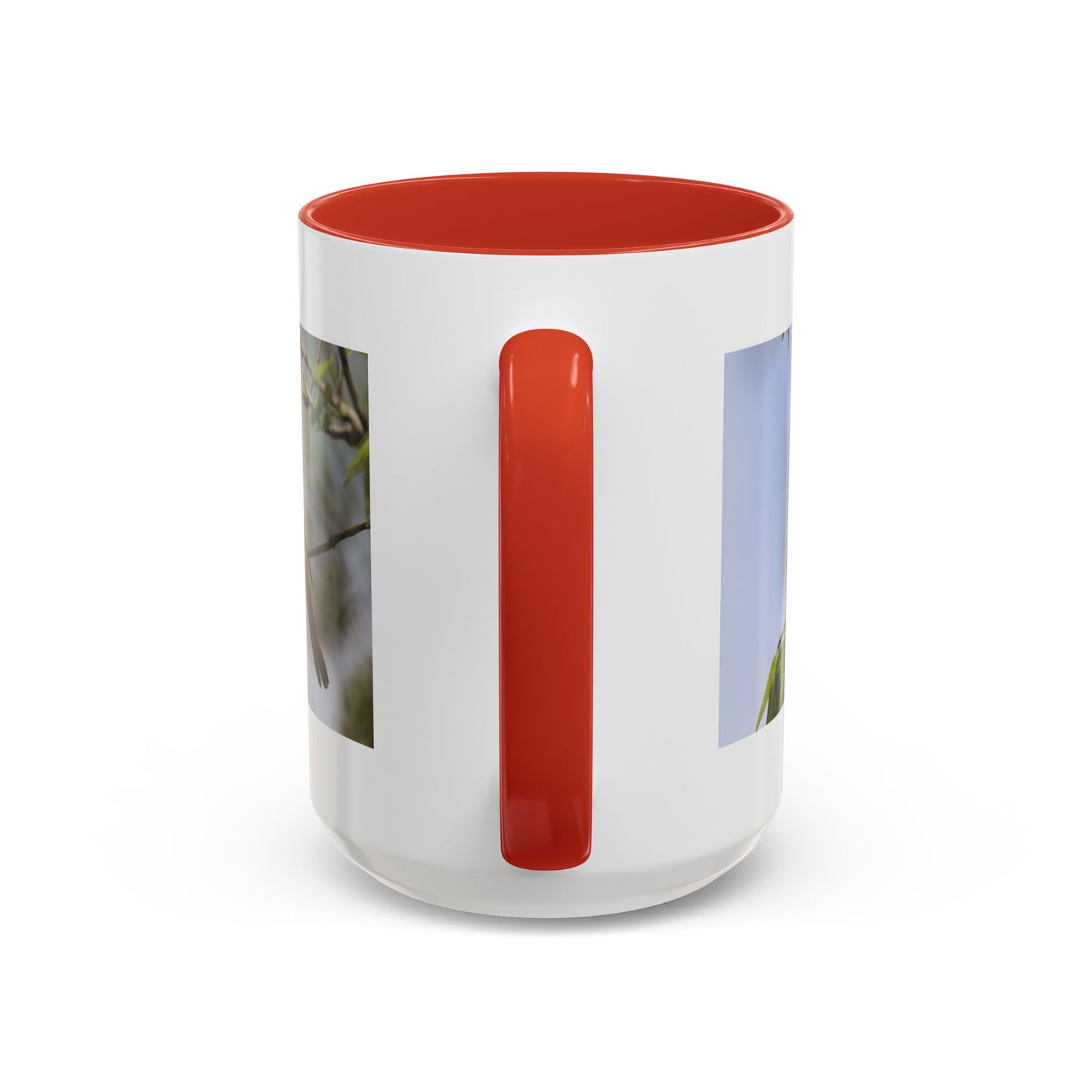 Baltimore Oriole Coffee Mug — Birdwatching Accent Mug (11/15oz)