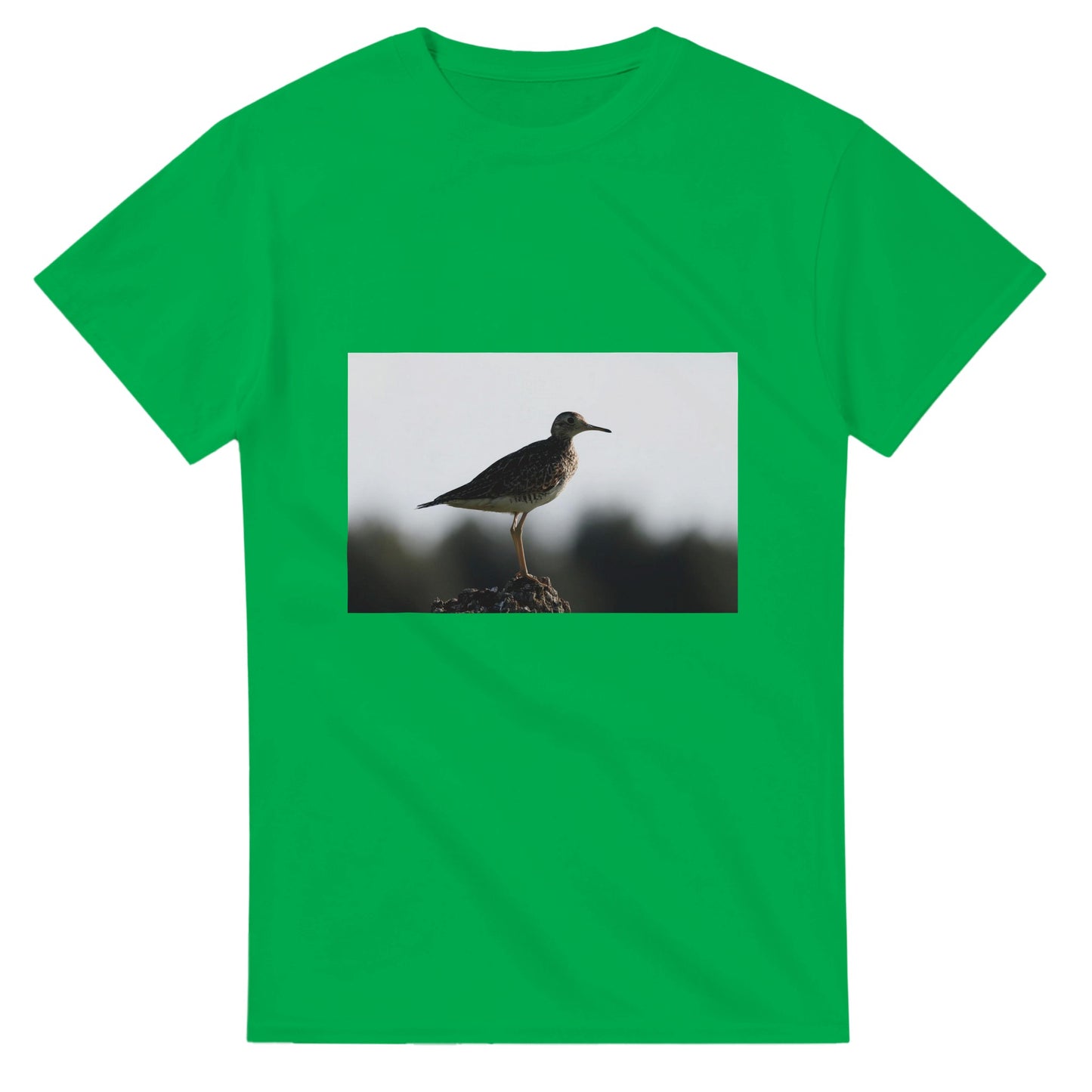 25642298-f22c-4012-9969-cd3aa4d7f172