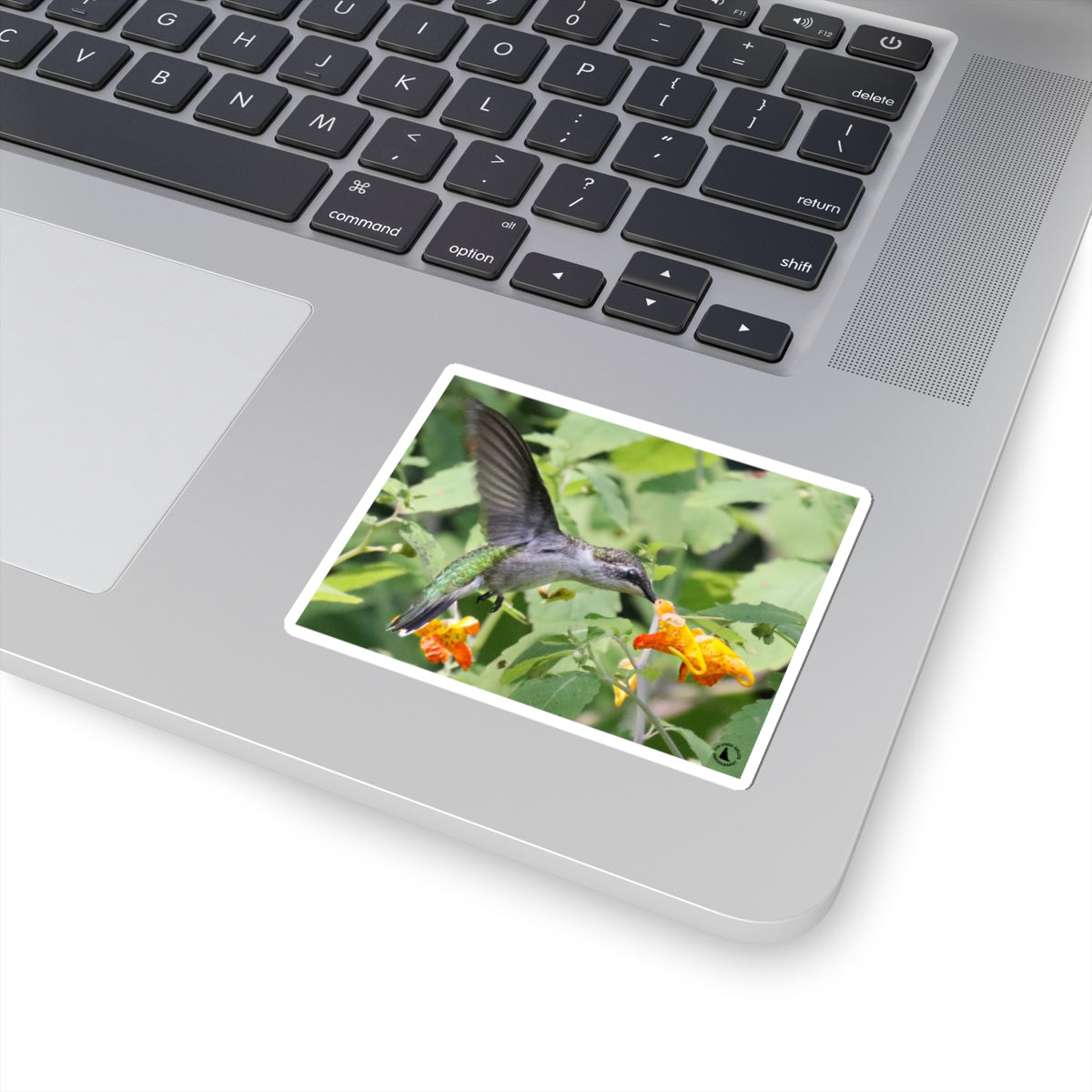 Hummingbird & Orange Flower Kiss-Cut Sticker — Nature Wildlife Laptop Decal