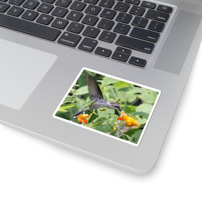Hummingbird & Orange Flower Kiss-Cut Sticker — Nature Wildlife Laptop Decal