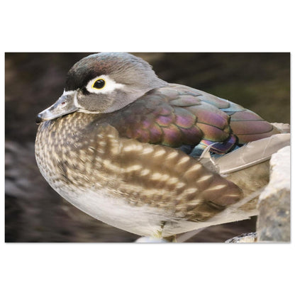 25c0e375-5ead-4cf8-b285-ad7579368125