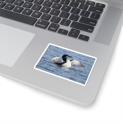 Common Loon Photo Sticker — Waterproof Kiss-Cut Sticker of Loon on Water