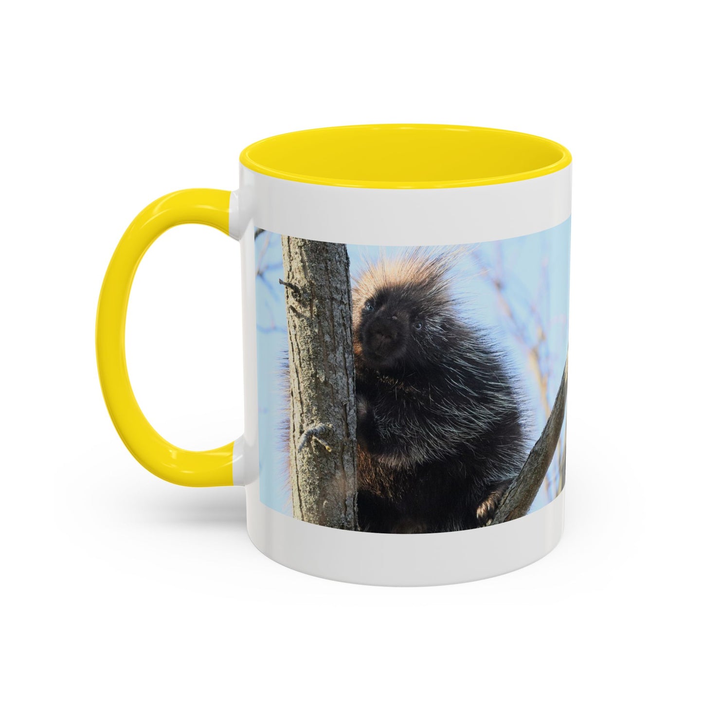 Porcupine Photo Accent Coffee Mug — Wildlife Nature Lover Gift (11/15oz)