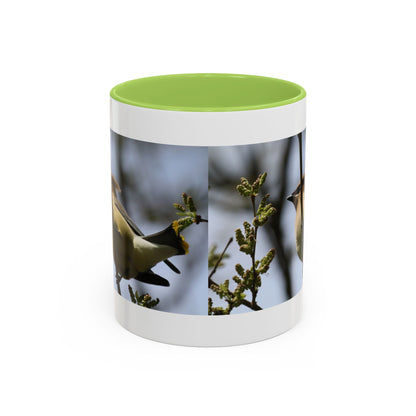Cedar Waxwing Bird Photo Accent Coffee Mug