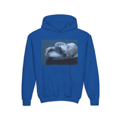 Youth Hoodie with Sleeping Swan Photo — Cozy Wildlife Sweatshirt