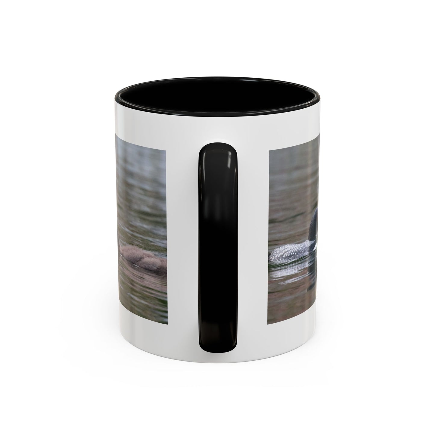Bufflehead Duck Photo Accent Coffee Mug — Nature Lover Wildlife Gift (11/15oz)