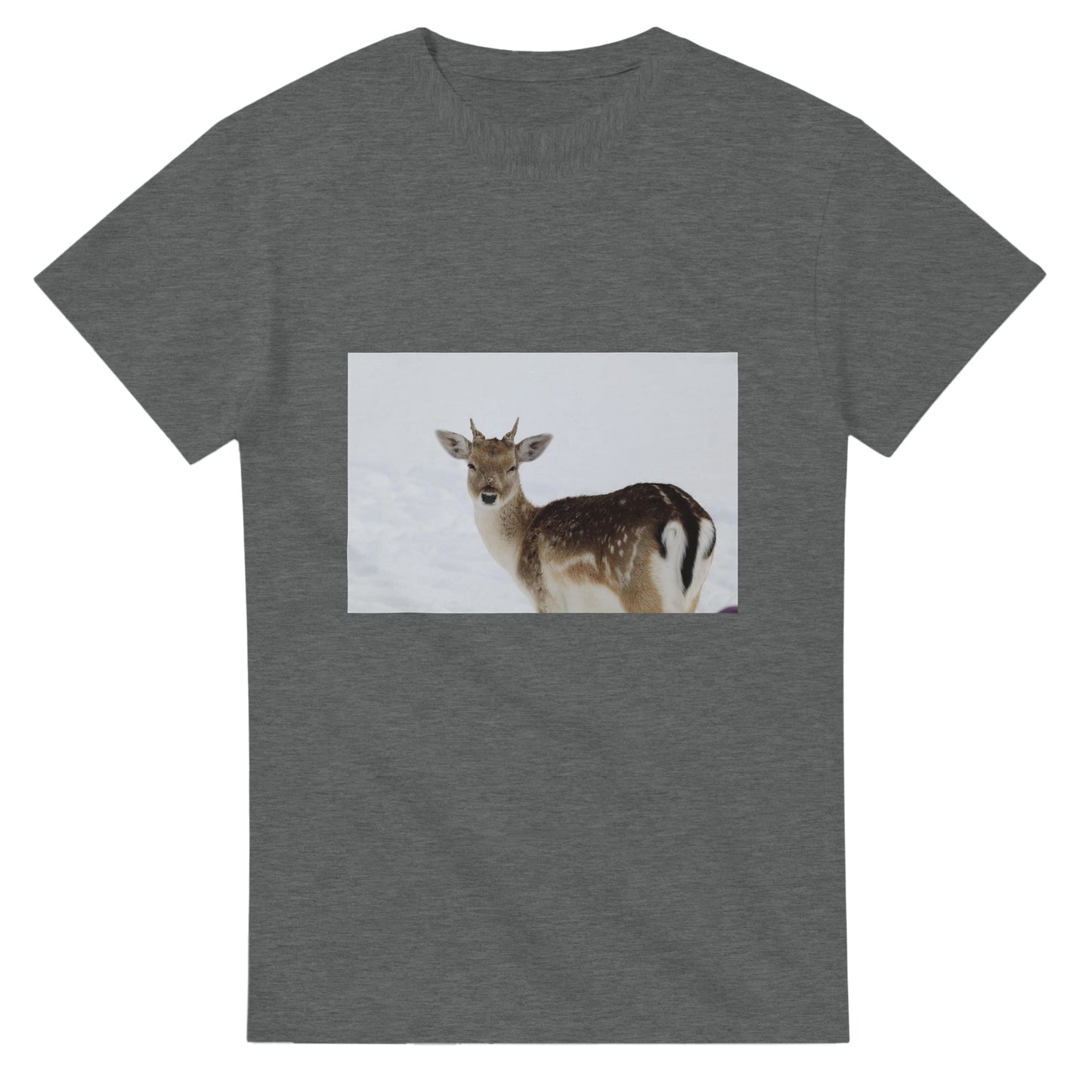 266a2ed7-da5e-49aa-bc63-64d69947df11