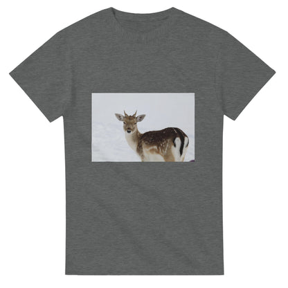 266a2ed7-da5e-49aa-bc63-64d69947df11