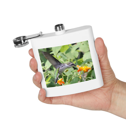 Hummingbird Photo Stainless Steel Flask — 6oz Portable Liquor Hip Flask