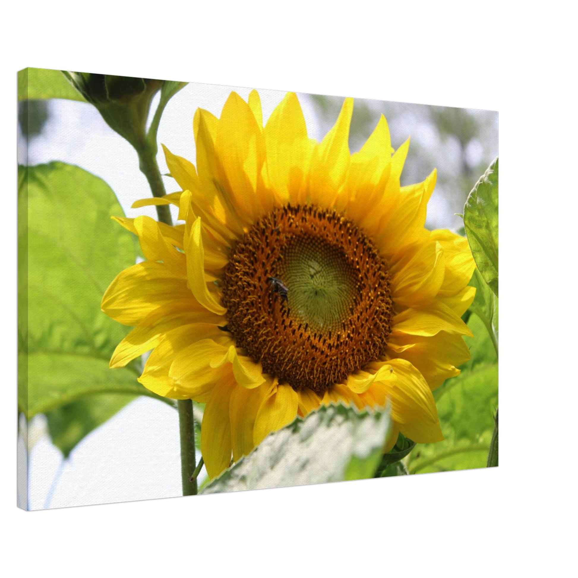 267b9b3f-5c09-4019-8223-c47f1fd965b9