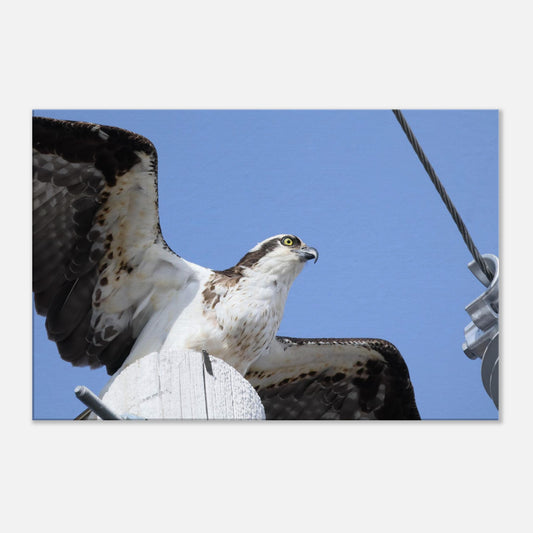 26dbe962-5a43-4a75-8d70-8a1a865cf0e6