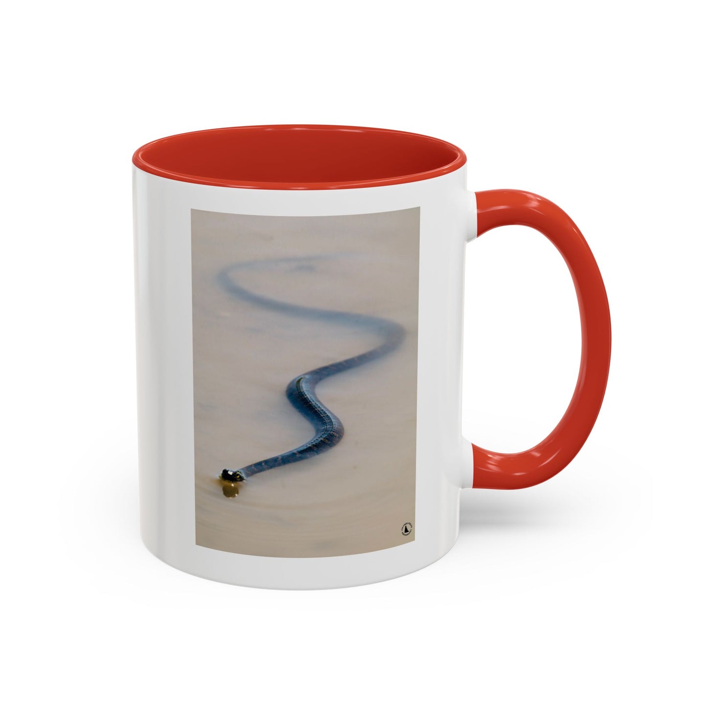 Serpentine Ribbon Snake Coffee Mug — Nature Photography Accent Mug (11/15oz)