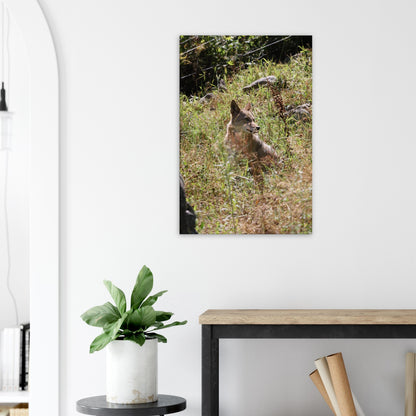 271ab3e2-5329-44a6-a8ac-87c3c8802556